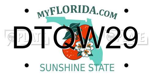 DTQW29 Florida License Plate