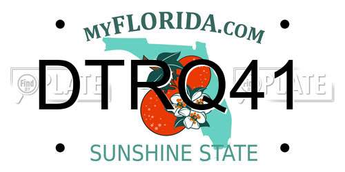 DTRQ41 Florida License Plate