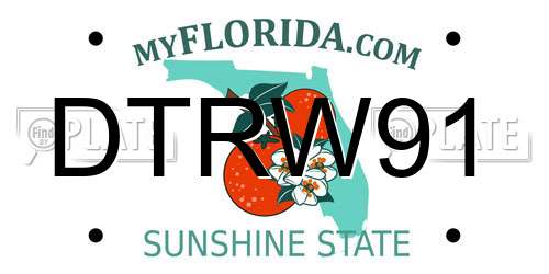 DTRW91 Florida License Plate