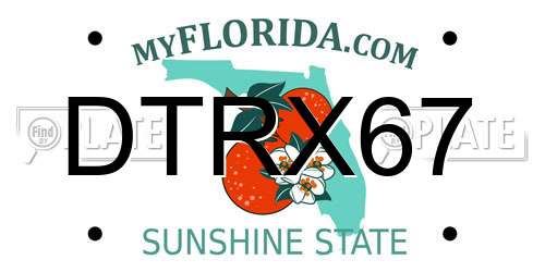 DTRX67 Florida License Plate