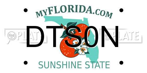 DTS0N Florida License Plate