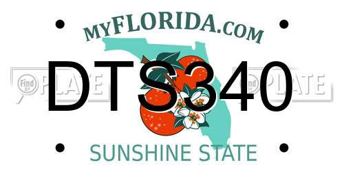 DTS340 Florida License Plate