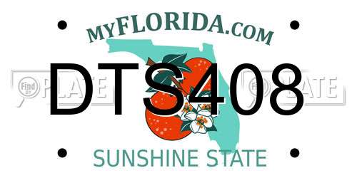 DTS408 Florida License Plate