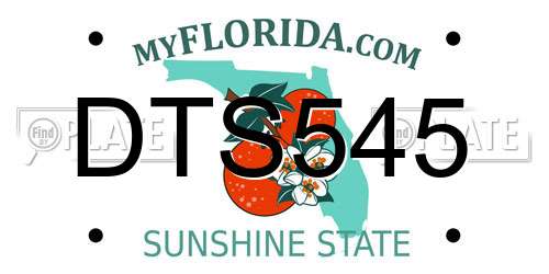 DTS545 Florida License Plate