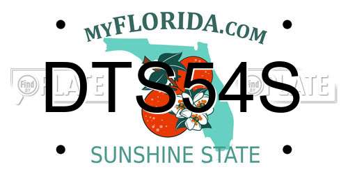 DTS54S Florida License Plate