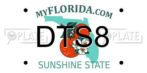 DTS8 Florida License Plate