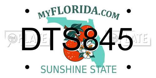 DTS845 Florida License Plate