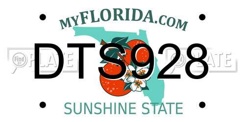DTS928 Florida License Plate