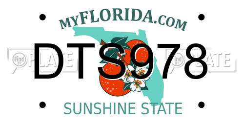 DTS978 Florida License Plate