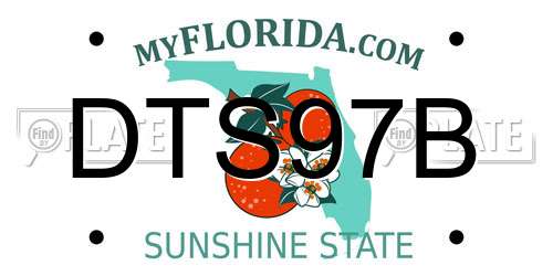 DTS97B Florida License Plate