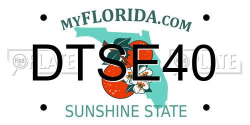 DTSE40 Florida License Plate