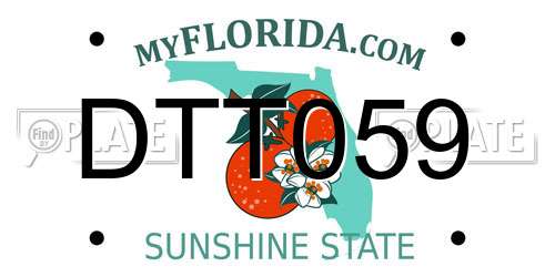 DTT059 Florida License Plate