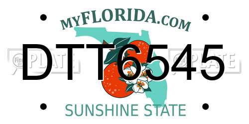 DTT6545 Florida License Plate