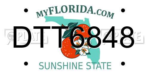 DTT6848 Florida License Plate