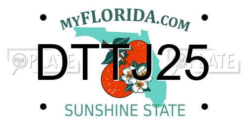DTTJ25 Florida License Plate