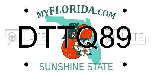 DTTQ89 Florida License Plate