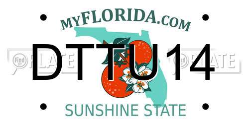 DTTU14 Florida License Plate
