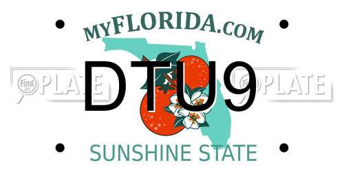 DTU9 Florida License Plate