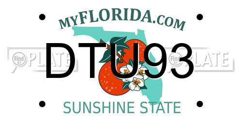 DTU93 Florida License Plate