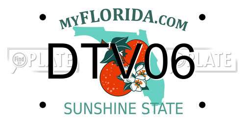DTV06 Florida License Plate