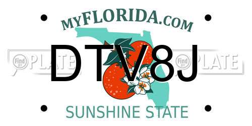 DTV8J Florida License Plate