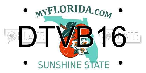 DTVB16 Florida License Plate