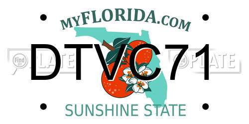 DTVC71 Florida License Plate