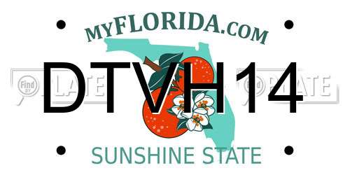DTVH14 Florida License Plate