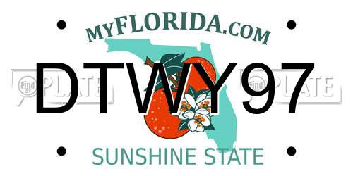 DTWY97 Florida License Plate