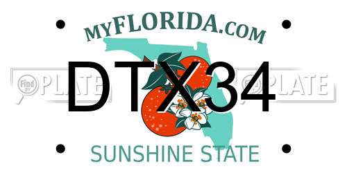 DTX34 Florida License Plate