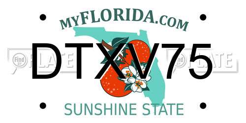DTXV75 Florida License Plate