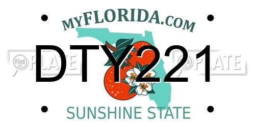 DTY221 Florida License Plate