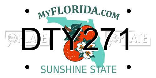 DTY271 Florida License Plate