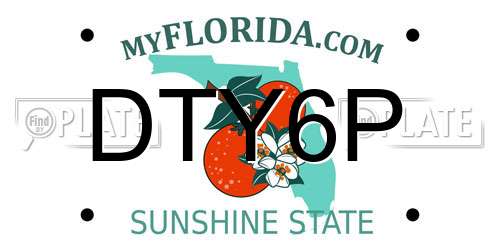 DTY6P Florida License Plate