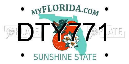DTY771 Florida License Plate