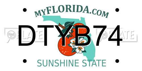 DTYB74 Florida License Plate
