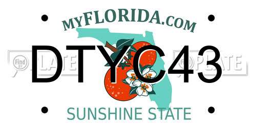 DTYC43 Florida License Plate