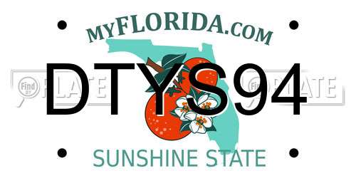 DTYS94 Florida License Plate