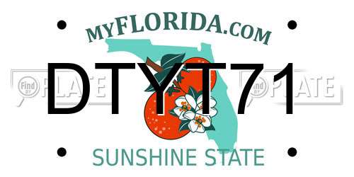 DTYT71 Florida License Plate