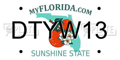 DTYW13 Florida License Plate