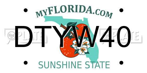 DTYW40 Florida License Plate