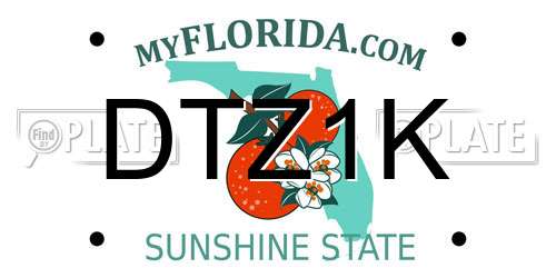DTZ1K Florida License Plate