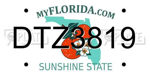 DTZ3819 Florida License Plate