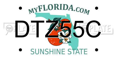 DTZ55C Florida License Plate