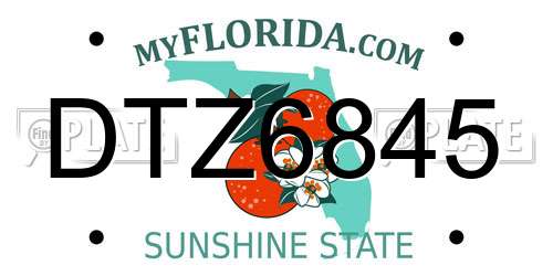 DTZ6845 Florida License Plate
