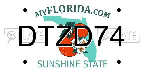 DTZD74 Florida License Plate