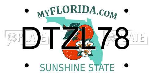 DTZL78 Florida License Plate