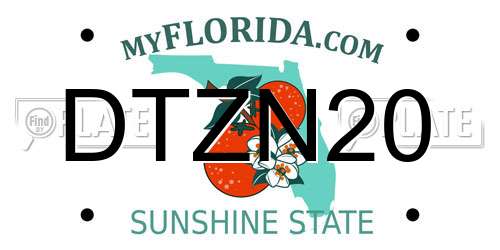 DTZN20 Florida License Plate