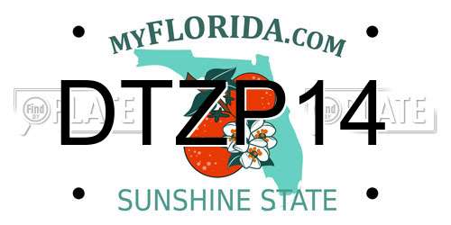 DTZP14 Florida License Plate