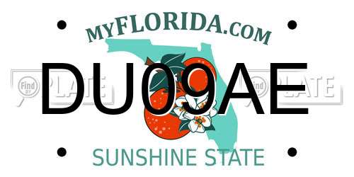 DU09AE Florida License Plate